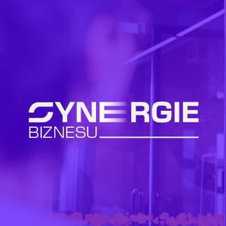 Synergie Biznesu